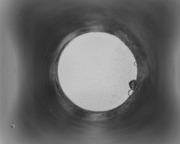 X0000103970054200810311533