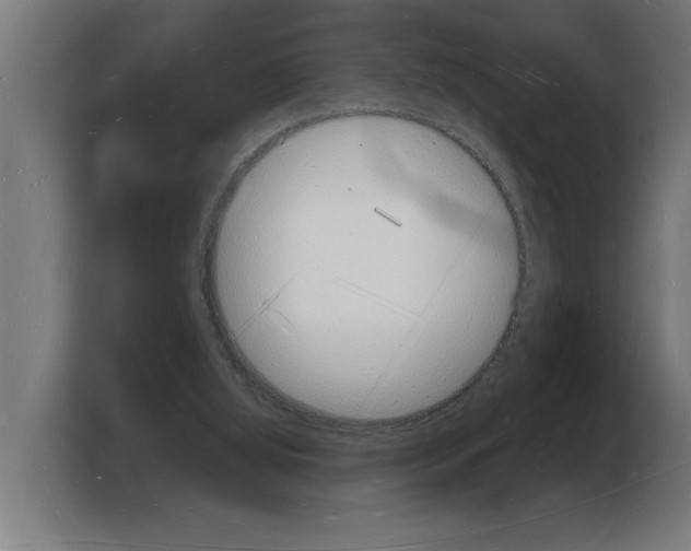 X0000103970060200810311533