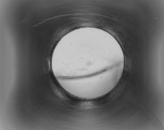 X0000103970061200810311533