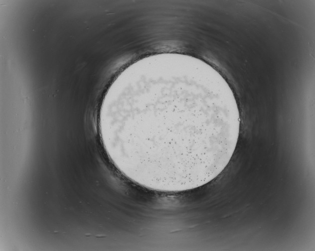 X0000103970062200810311533