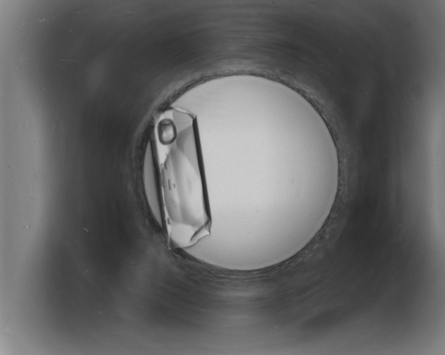 X0000103970064200810311533