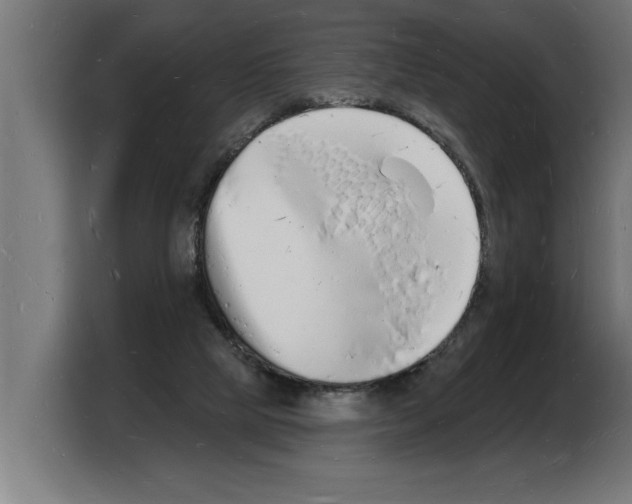 X0000103970065200810311533