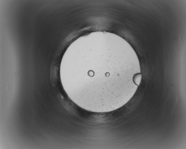 X0000103970071200810311533