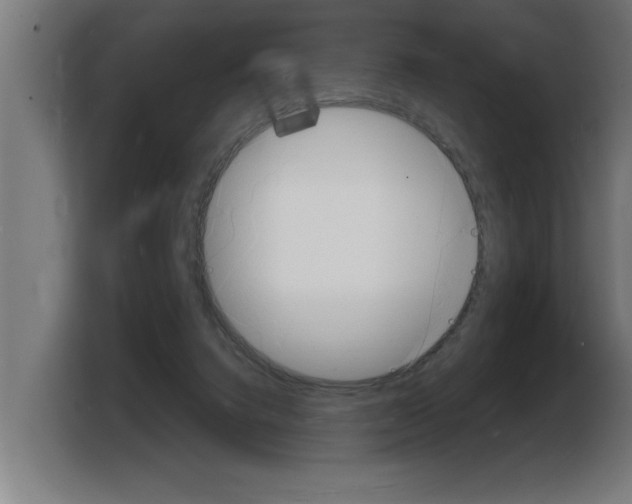 X0000103970072200810311533