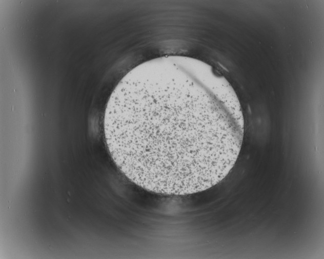 X0000103970074200810311533