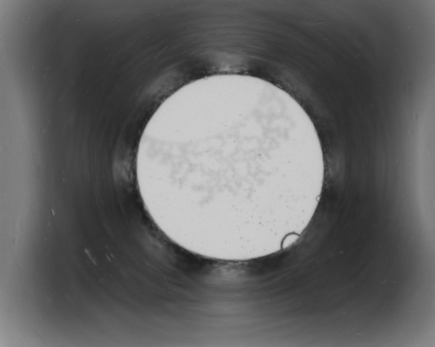 X0000103970078200810311533