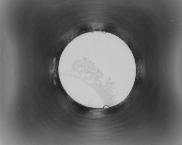 X0000103970082200810311533
