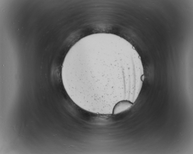 X0000103970086200810311533