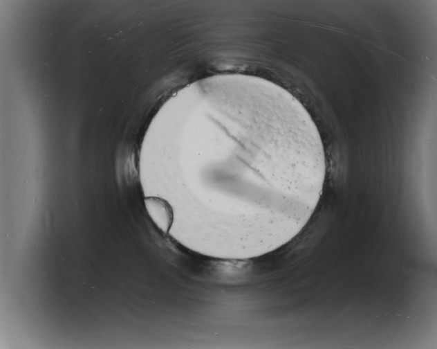 X0000103970089200810311533