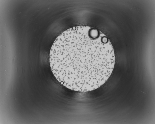 X0000103970092200810311533