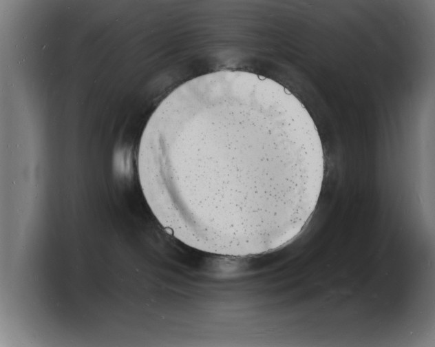 X0000103970094200810311533