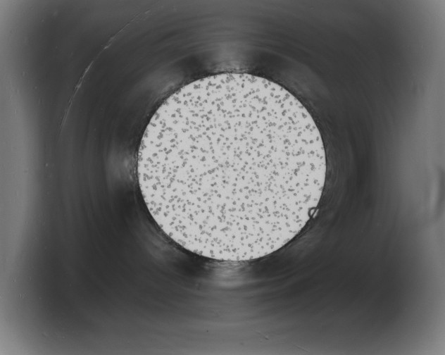 X0000103970096200810311533