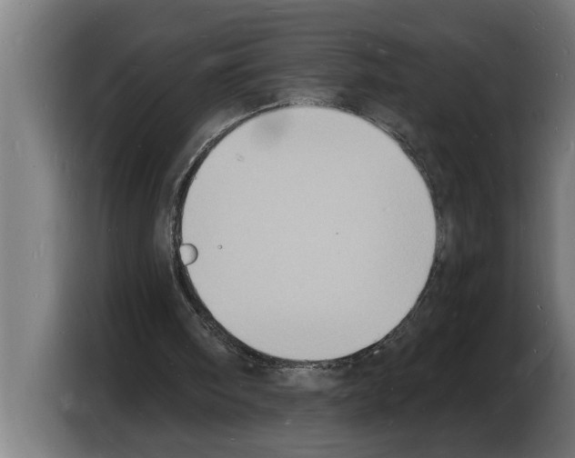X0000103970098200810311533