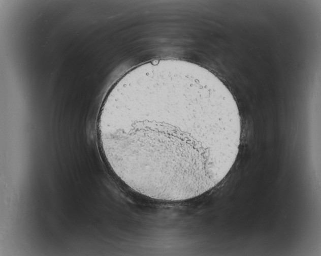 X0000103970099200810311533