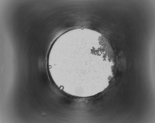 X0000103970100200810311532