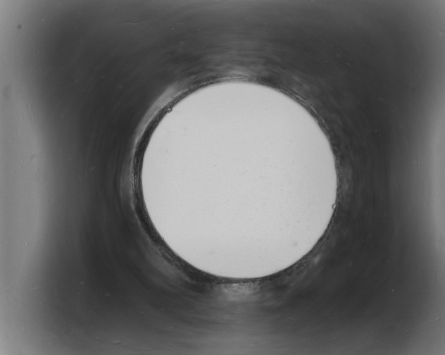 X0000103970102200810311532
