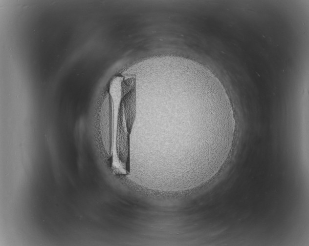X0000103970104200810311532