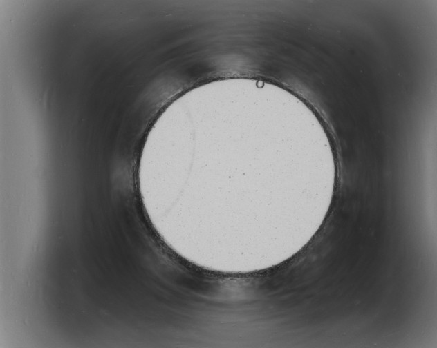 X0000103970105200810311532