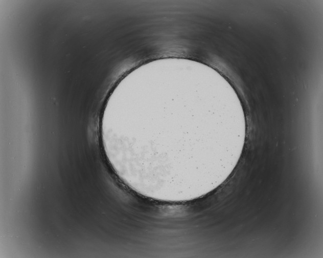 X0000103970107200810311532
