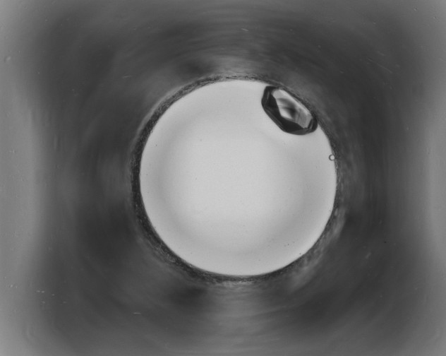 X0000103970108200810311532