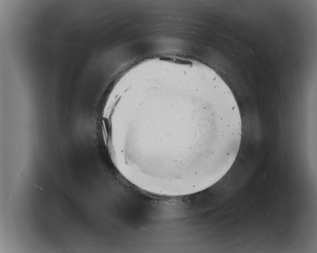 X0000103970112200810311532