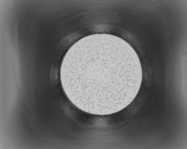 X0000103970115200810311532