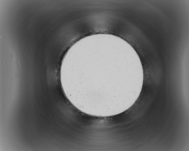 X0000103970116200810311532