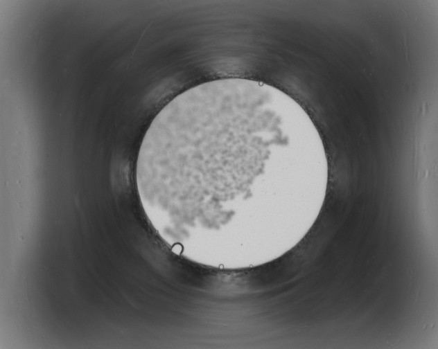 X0000103970117200810311532