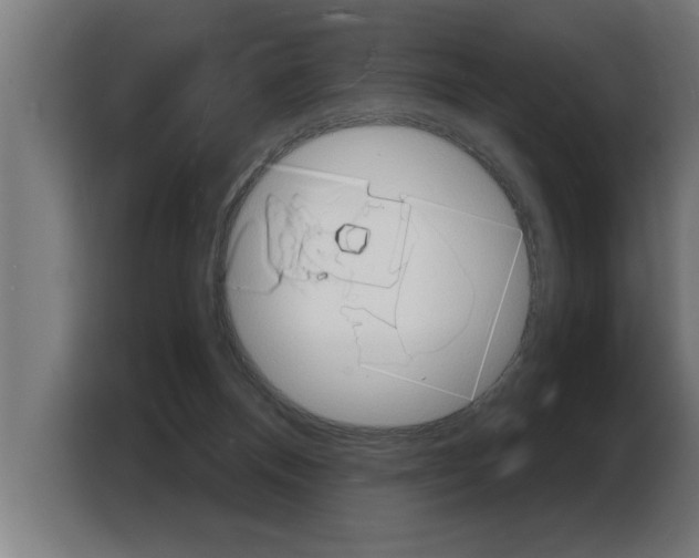 X0000103970120200810311532