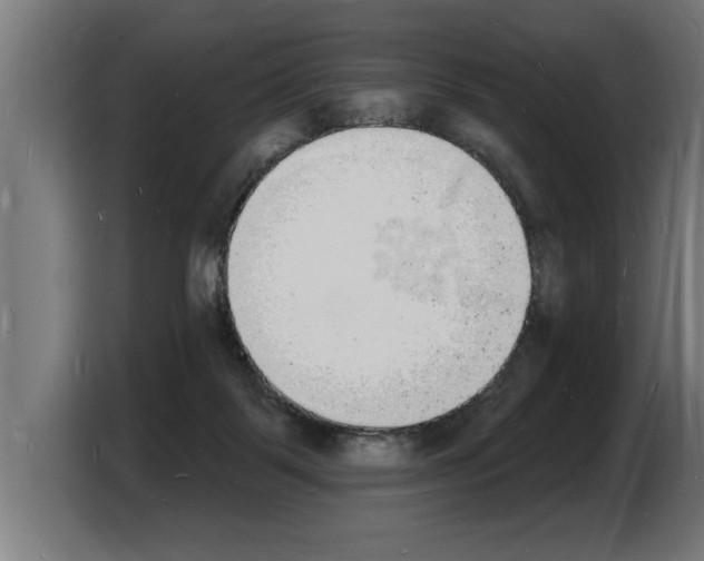 X0000103970123200810311532