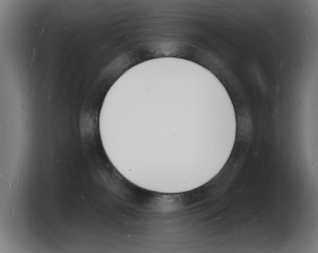 X0000103970126200810311532