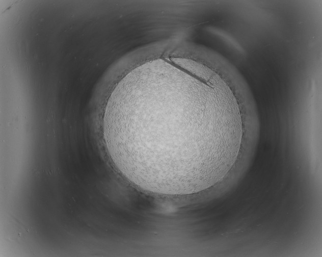 X0000103970128200810311532