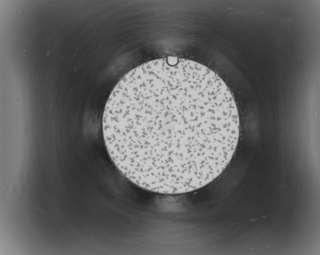 X0000103970129200810311532