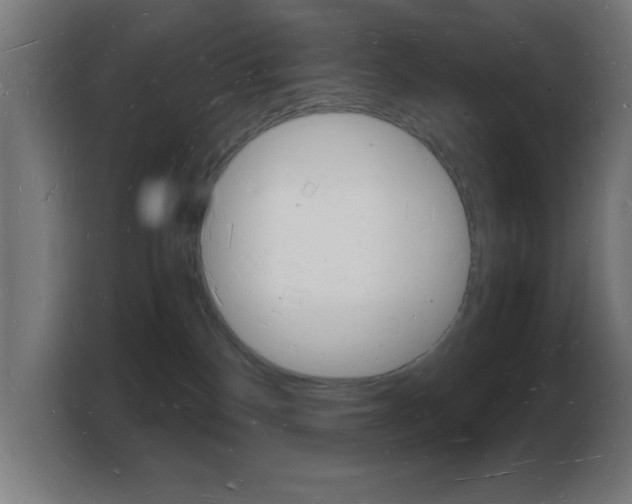 X0000103970136200810311532
