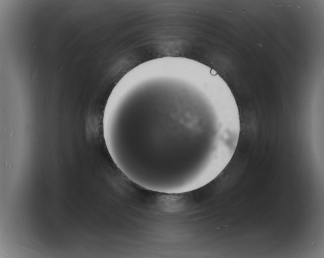 X0000103970139200810311532
