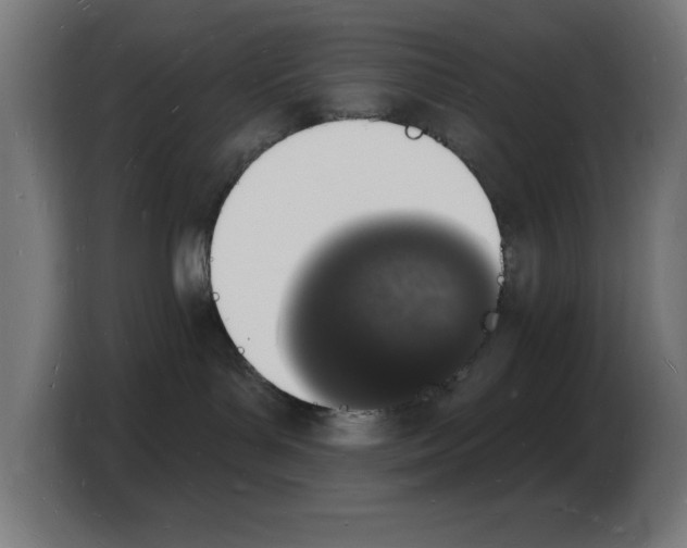 X0000103970143200810311532