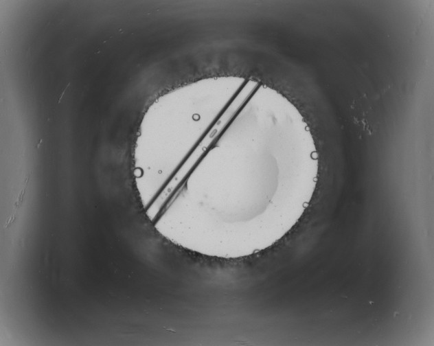 X0000103970144200810311532