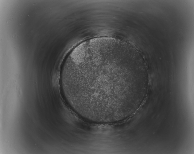 X0000103970146200810311531