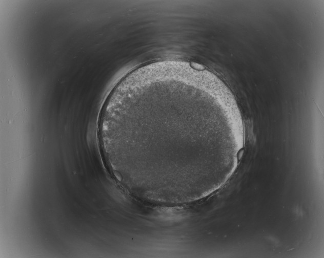 X0000103970147200810311531