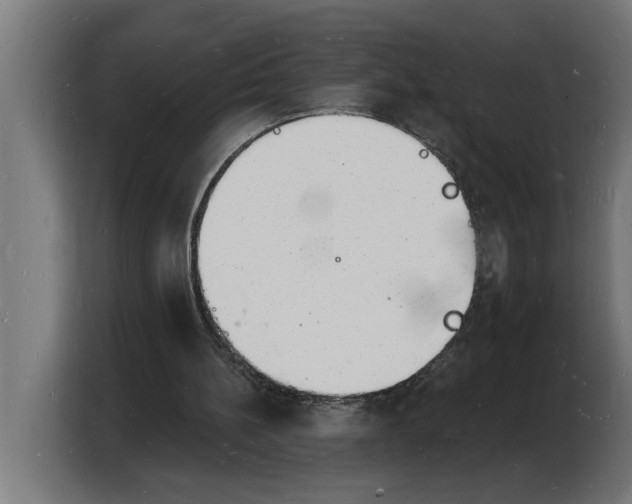 X0000103970148200810311531
