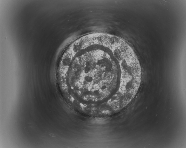 X0000103970149200810311531