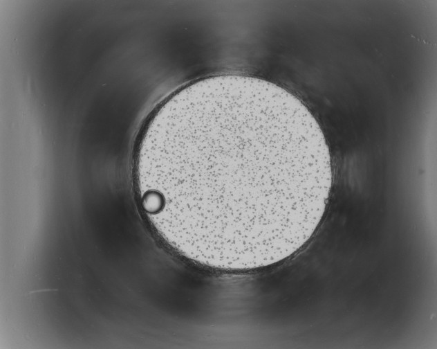 X0000103970150200810311531