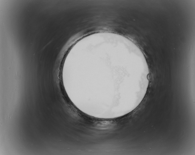 X0000103970151200810311531