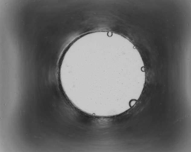 X0000103970152200810311531