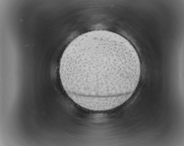 X0000103970153200810311531