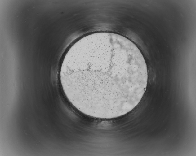 X0000103970156200810311531