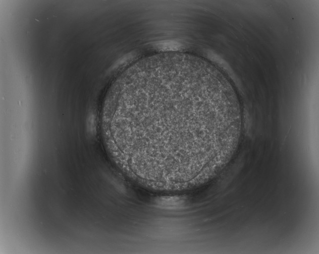 X0000103970161200810311531