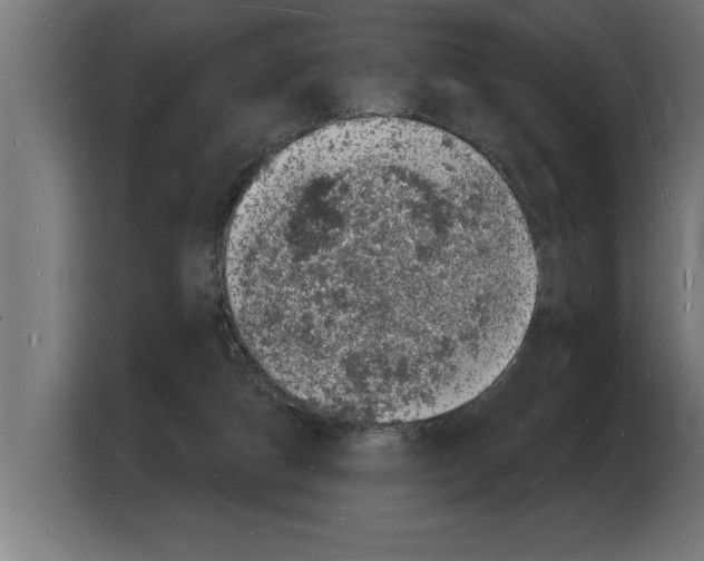 X0000103970162200810311532