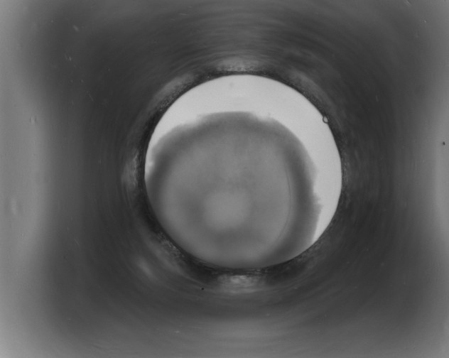 X0000103970163200810311532