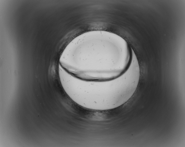 X0000103970166200810311532